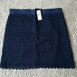 NWT Ann Taylor Loft Lace Skirt Size 6